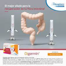 DIGERMIN - Suspension oral frasco x 5 mL caja x 10