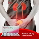 PYRIDIUM - Tabletas recubiertas caja x 100 - 100 mg