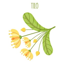 [TILO] TILO - Tilo en flores sobres de 1.5 g c/u